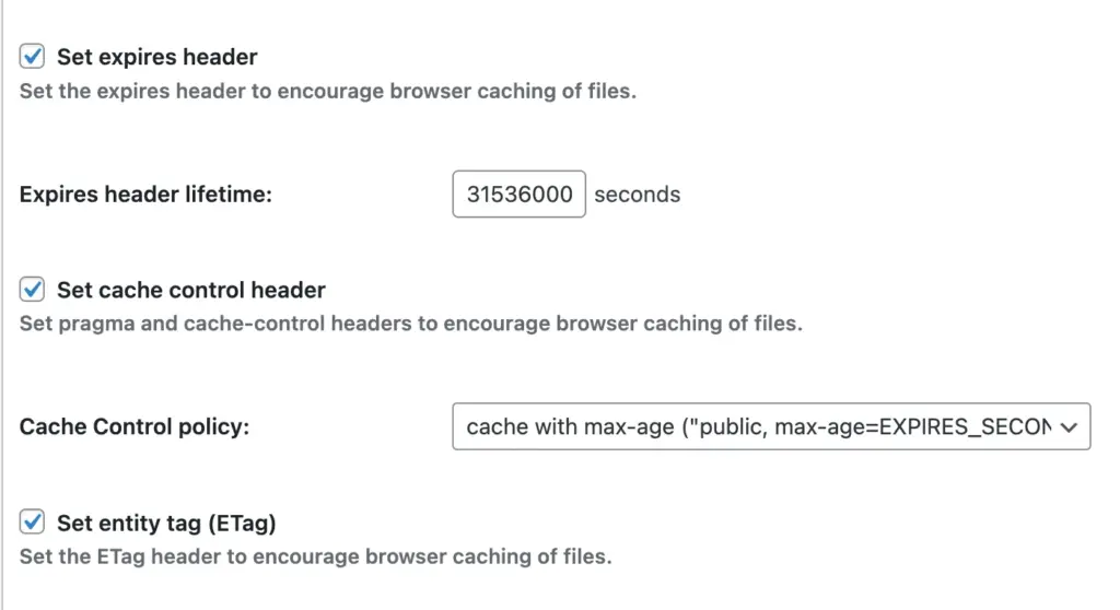 W3 Total Cache caching policy settings